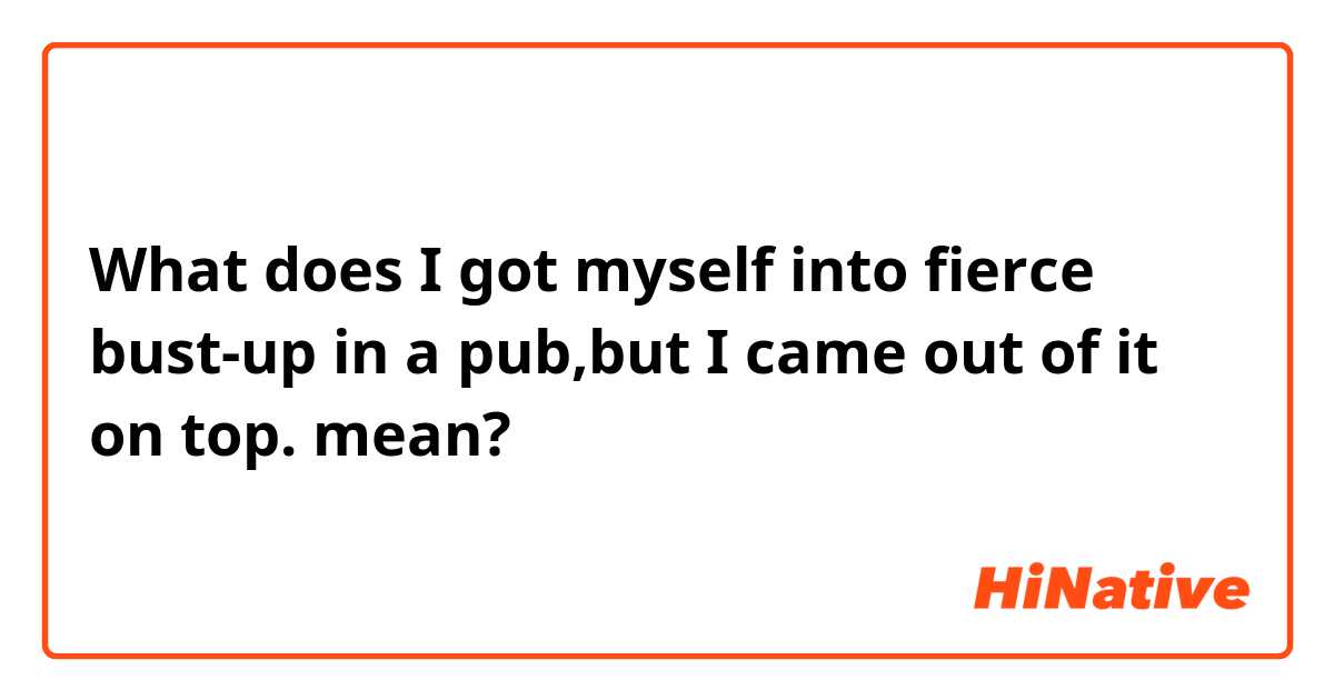 What is the meaning of I got myself into fierce bust-up in a pub,but I  came out of it on top.? - Question about English (US)