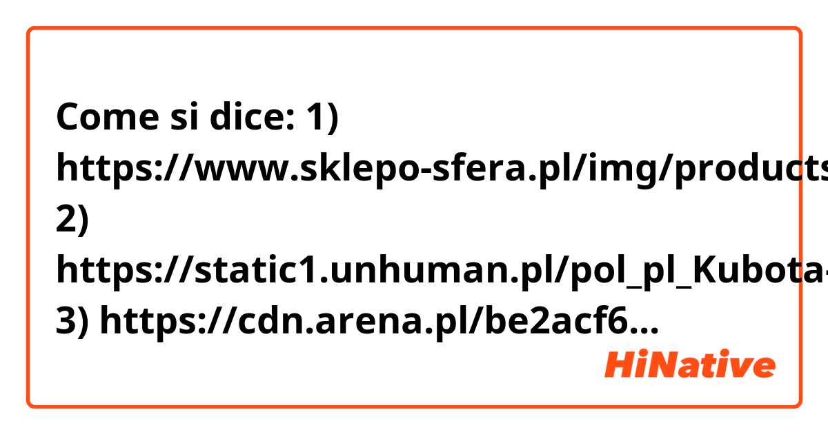 Come si dice:
1) https://www.sklepo-sfera.pl/img/products/62/79/1_max.jpg
2) https://static1.unhuman.pl/pol_pl_Kubota-BASIC-Klapki-Basenowe-Fioletowy-64658_1.png 
3) https://cdn.arena.pl/be2acf69d7c154c17739df3d4ede0238-product_lightbox.jpg
4) https://image.ceneostatic.pl/data/products/148021298/i-panszew-cieple-kapcie-bambosze-regionalne-pl-36-41.jpg 