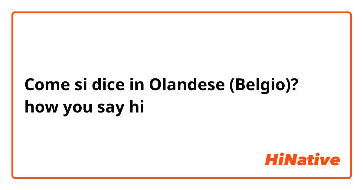 Come si dice in Olandese (Belgio)? how you say hi 