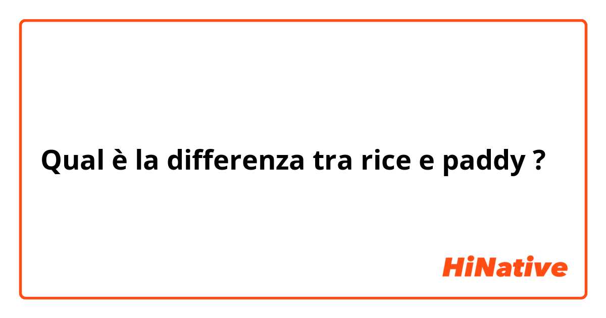 Qual è la differenza tra  rice e paddy  ?