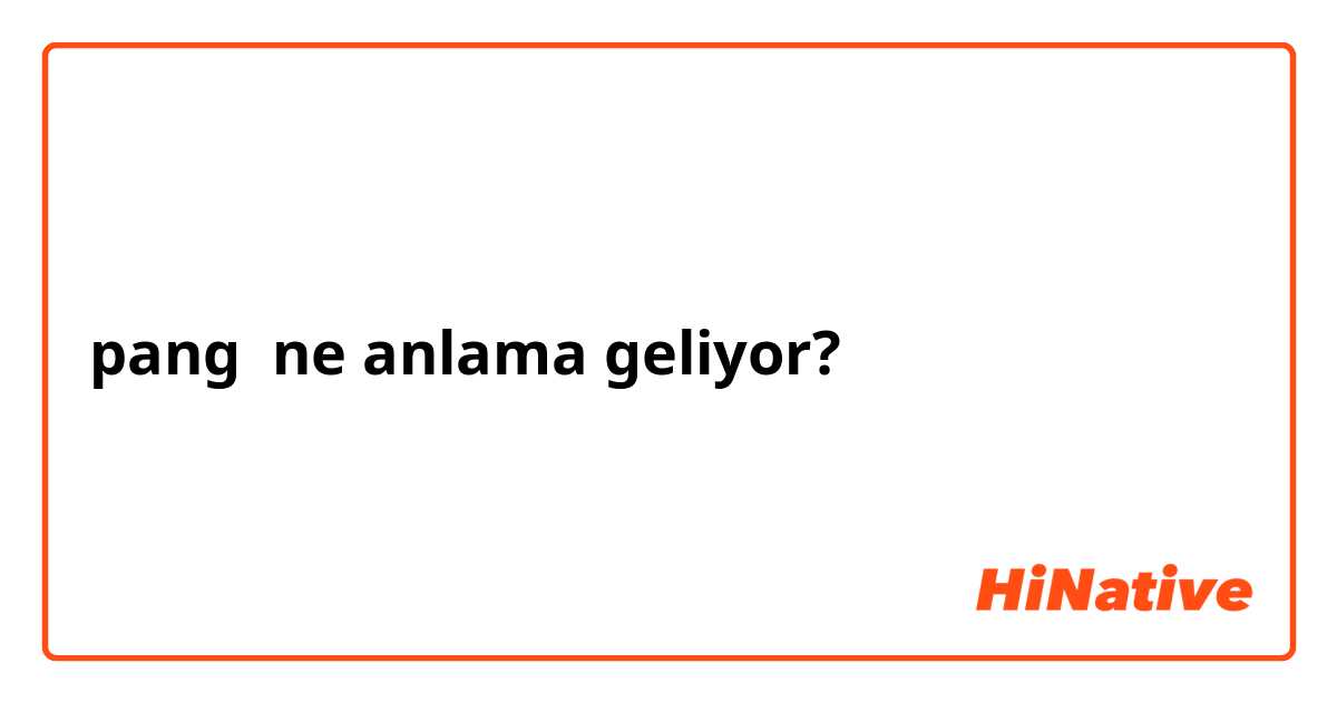 pang ne anlama geliyor?