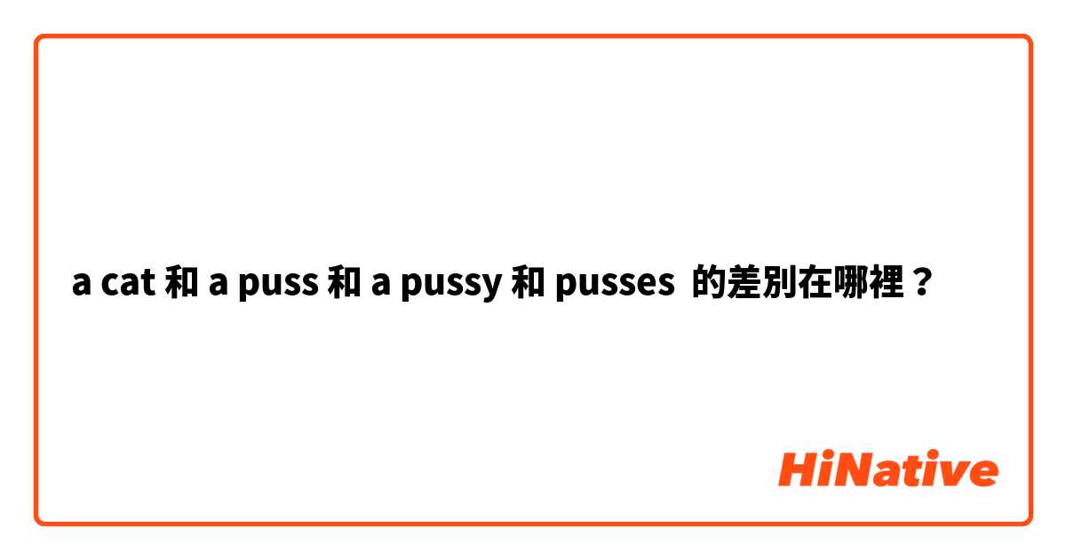 a cat 和 a puss 和 a pussy 和 pusses 的差別在哪裡？