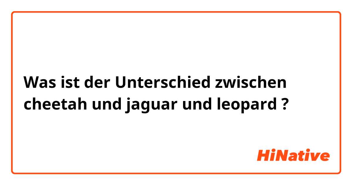 Was ist der Unterschied zwischen cheetah und jaguar und leopard ?