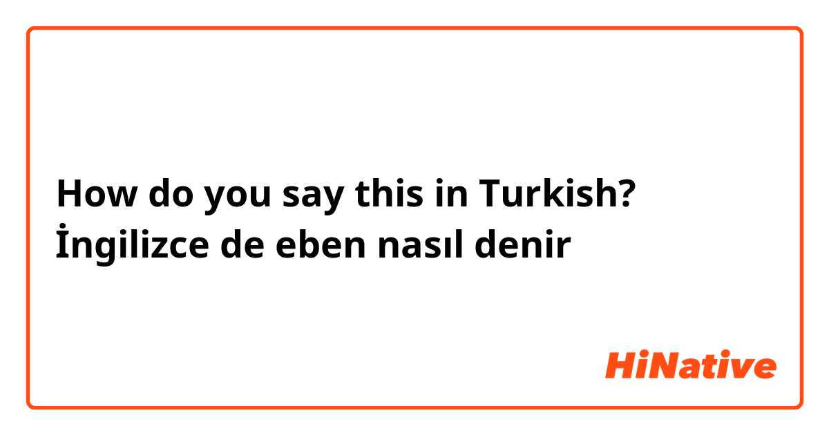 How do you say this in Turkish? İngilizce de eben nasıl denir 