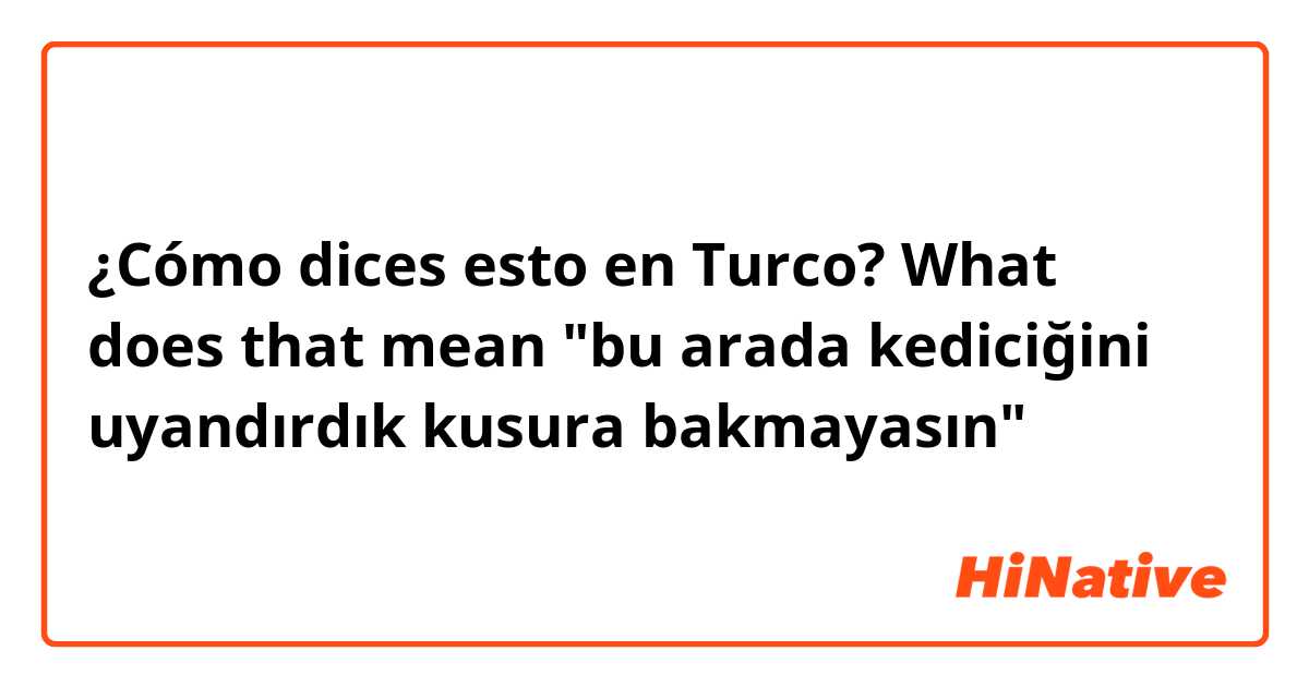 ¿Cómo dices esto en Turco? What does that mean "bu arada kediciğini uyandırdık kusura bakmayasın"