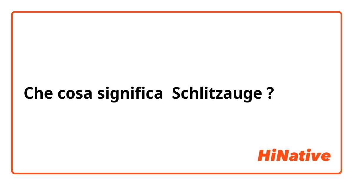 Che cosa significa Schlitzauge?