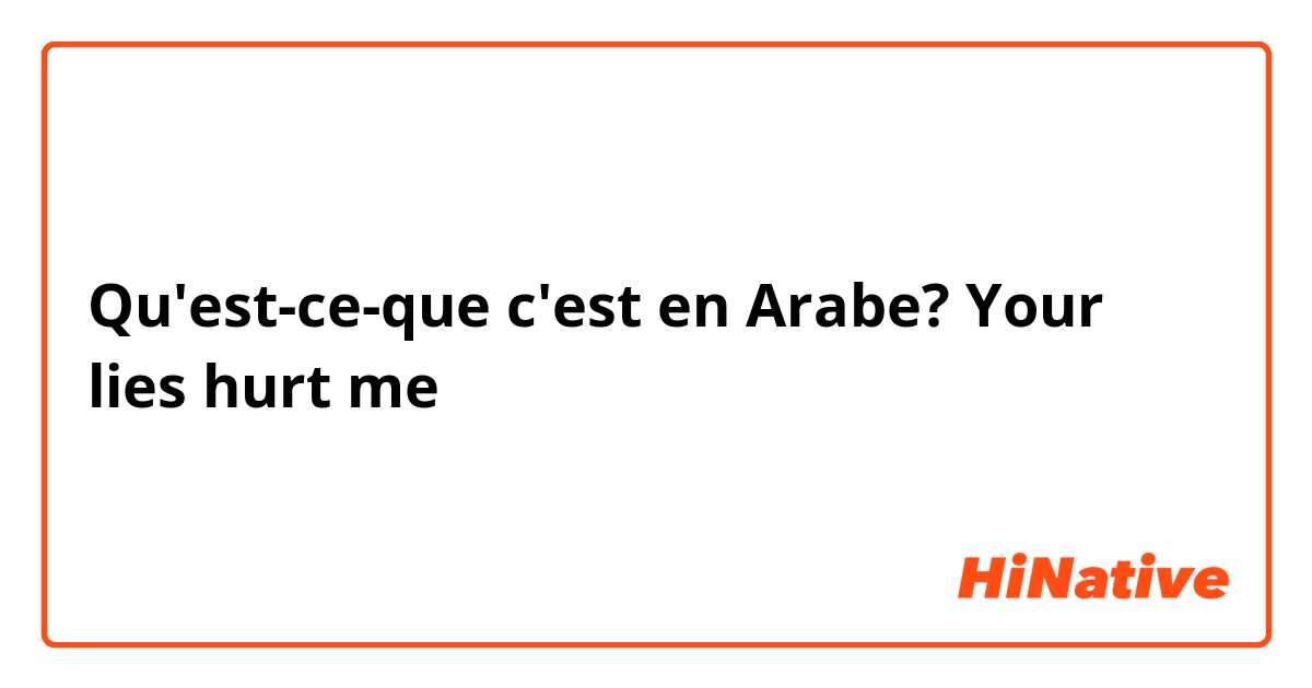 Qu'est-ce-que c'est en Arabe? Your lies hurt me