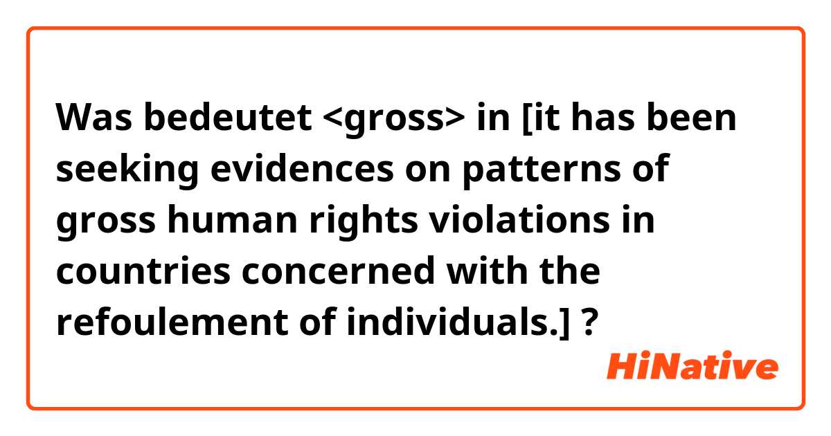 Was bedeutet <gross> in [it has been seeking evidences on patterns of gross human rights violations in countries concerned with the refoulement of individuals.]?