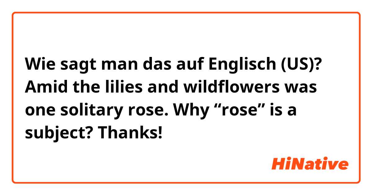 Wie sagt man das auf Englisch (US)? Amid the lilies and wildflowers was one solitary rose. Why “rose” is a subject? Thanks!