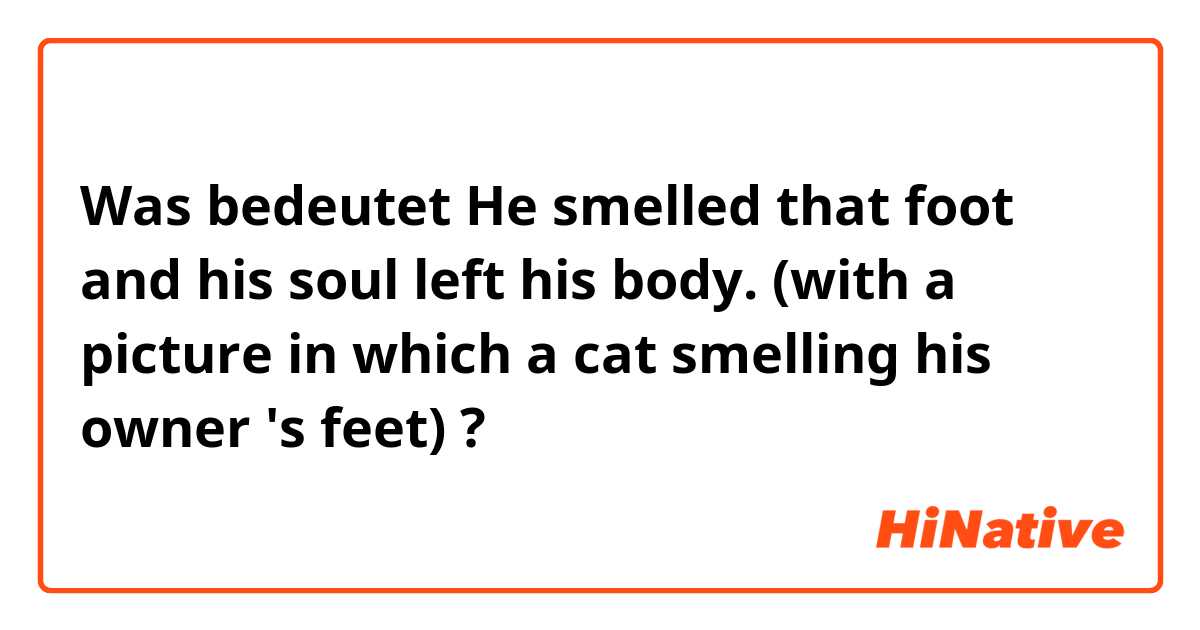 Was bedeutet He smelled that foot and his soul left his body.

(with a picture in which a cat smelling his owner 's feet)?