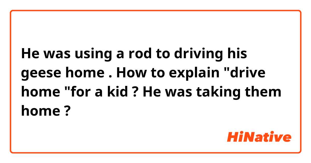 He was using a rod to driving his geese  home . How to explain "drive home "for a kid ? He was taking them home ?