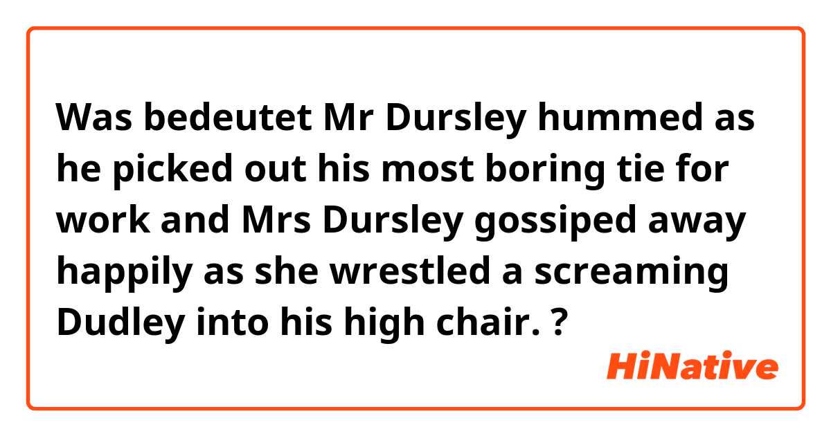 Was bedeutet Mr Dursley hummed as he picked out his most boring tie for work and Mrs Dursley gossiped away happily as she wrestled a screaming Dudley into his high chair.?