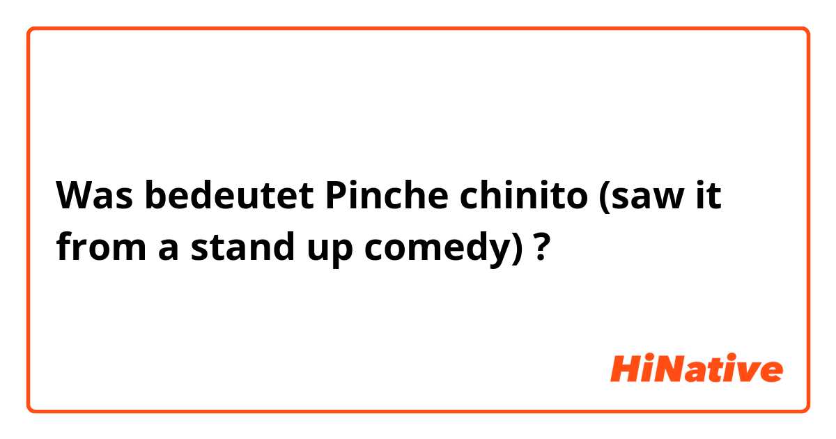 Was bedeutet Pinche chinito (saw it from a stand up comedy)?