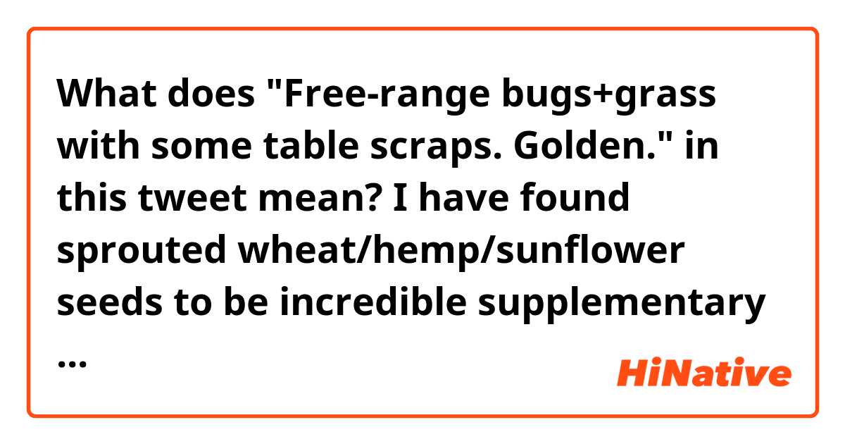 What does "Free-range bugs+grass with some table scraps. Golden." in this tweet mean?

I have found sprouted wheat/hemp/sunflower seeds to be incredible supplementary chicken feed. Soak in water for 12 hrs, drain, then add water-immediately drain, each morning for 3 days. Free-range bugs+grass with some table scraps. Golden.

https://twitter.com/JoshRainerGold/status/1620974152781017089?s=20&t=Uxtad1WJh-YC2mmjmT_gEw