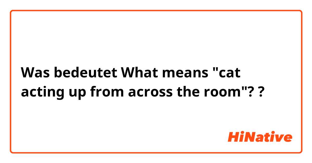 Was bedeutet What means "cat acting up from across the room"? ?