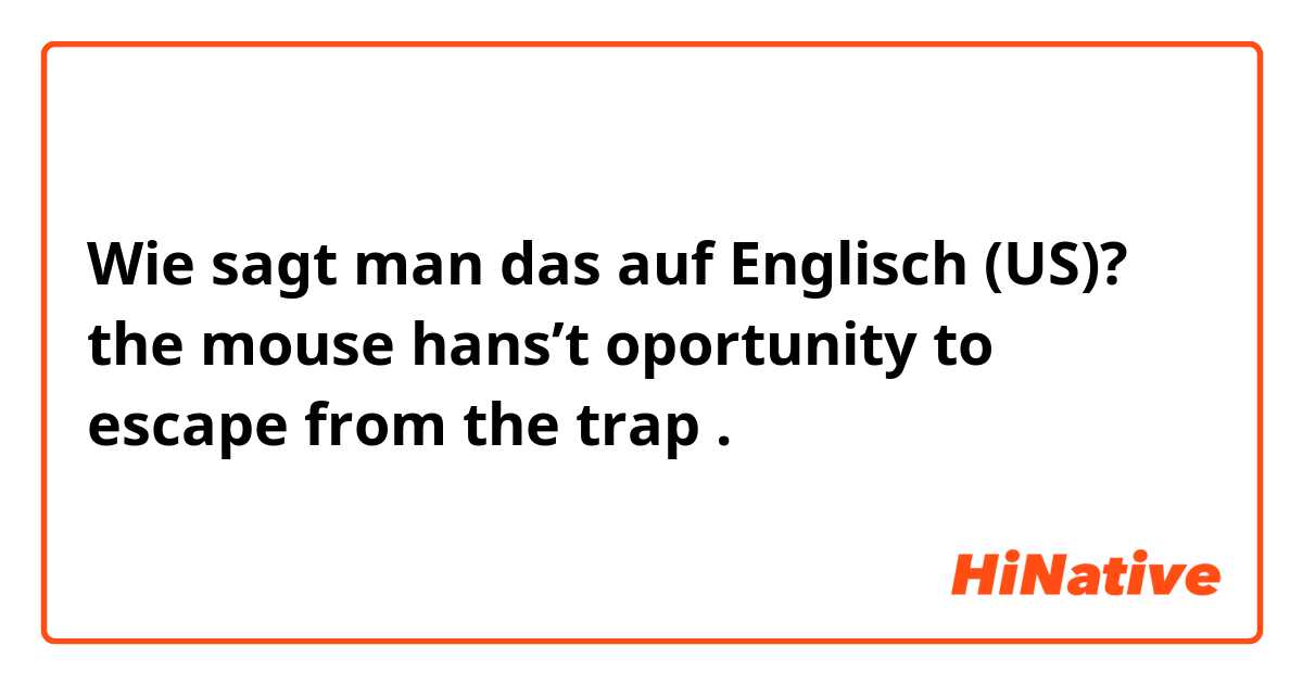 Wie sagt man das auf Englisch (US)? the mouse hans’t oportunity to escape from the trap .