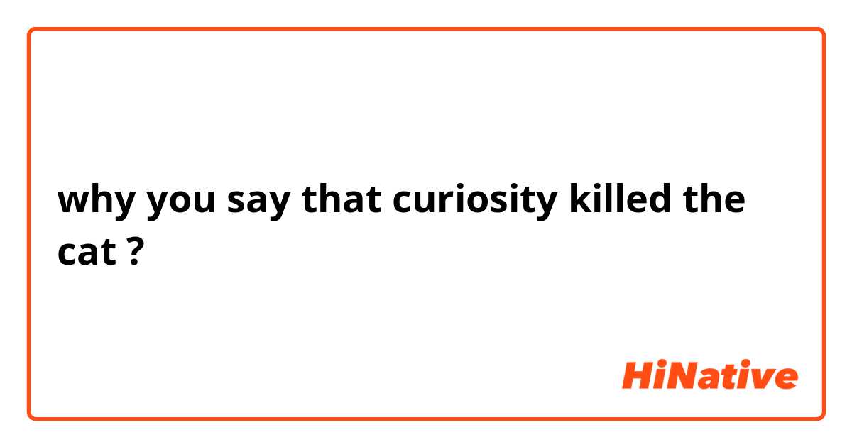 why you say that curiosity killed the cat ?