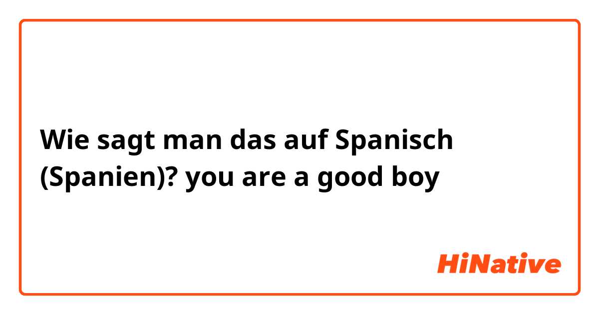 Wie sagt man das auf Spanisch (Spanien)? you are a good boy
