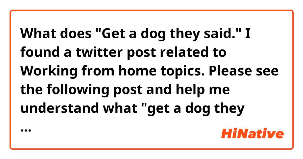 What does "Get a dog they said."
I found a twitter post related to Working from home topics. Please see the following post and help me understand what "get a dog they said" means. Thank you.
https://twitter.com/MsDeLSTEM/status/1339044782308347904 mean?