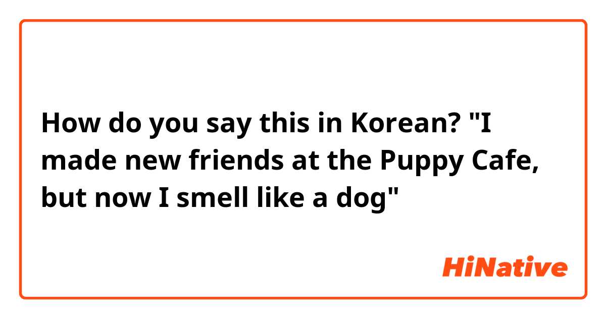 How do you say this in Korean? "I made new friends at the Puppy Cafe, but now I smell like a dog"