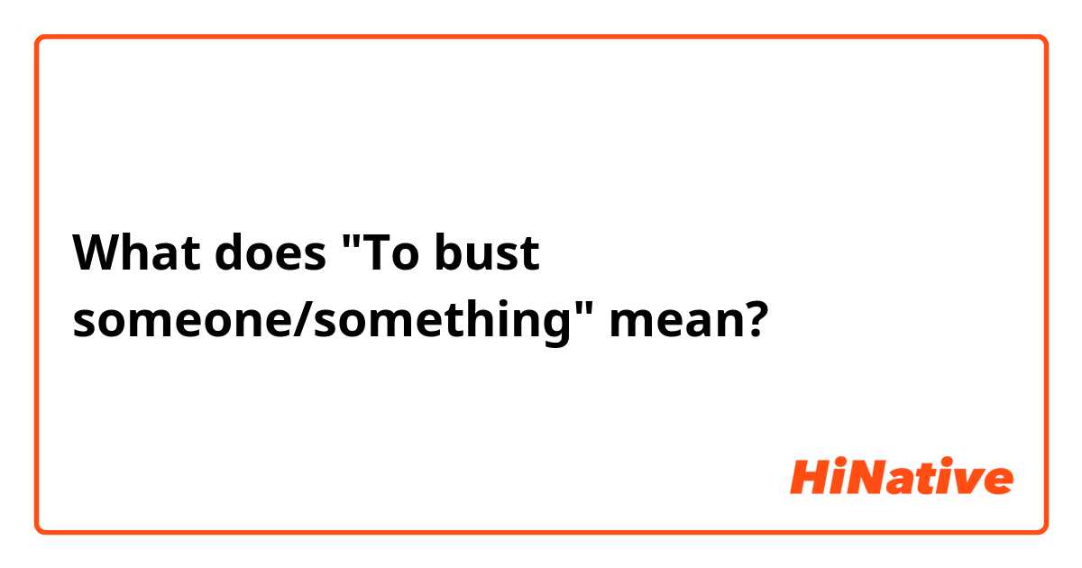 What does "To bust someone/something" mean?