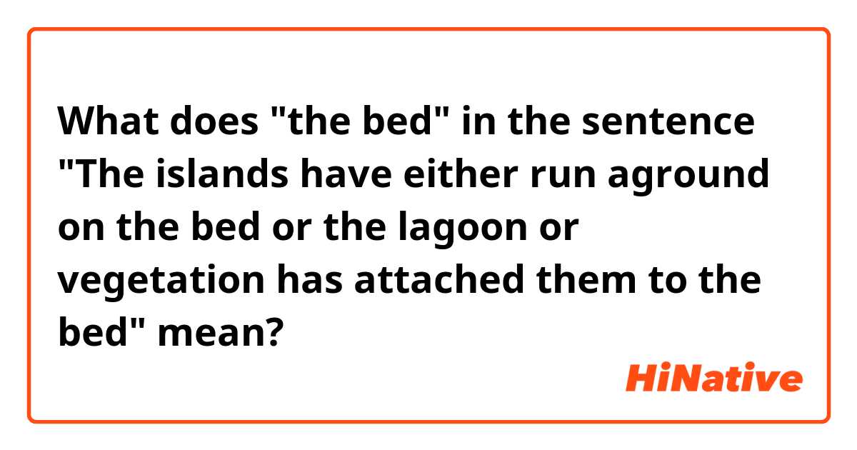What does "the bed" in the sentence "The islands have either run aground on the bed or the lagoon or vegetation has attached them to the bed" mean?