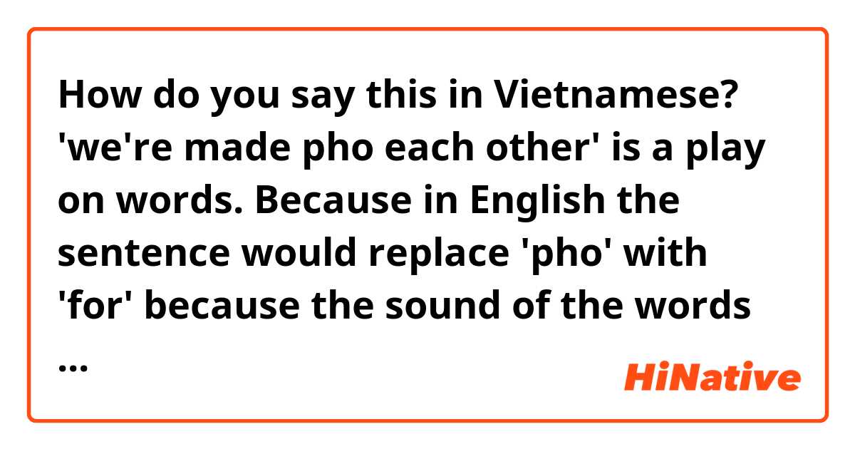 How do you say this in Vietnamese? 'we're made pho each other' is a play on words. Because in English the sentence would replace 'pho' with 'for' because the sound of the words are similar. Is there a way I can explain this? how do you explain in Vietnamese? thanks :) 