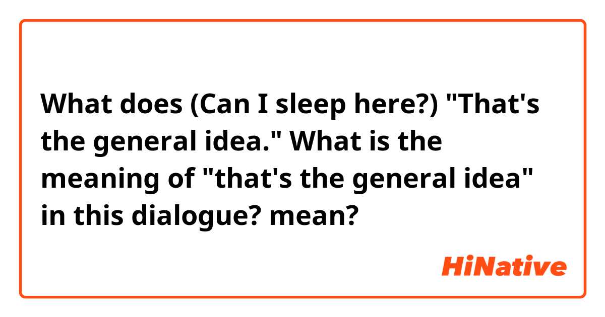 What does (Can I sleep here?) "That's the general idea."
What is the meaning of "that's the general idea" in this dialogue? mean?