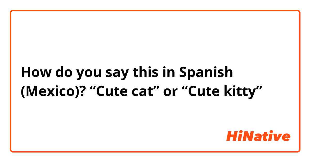 How do you say this in Spanish (Mexico)? “Cute cat” or “Cute kitty”