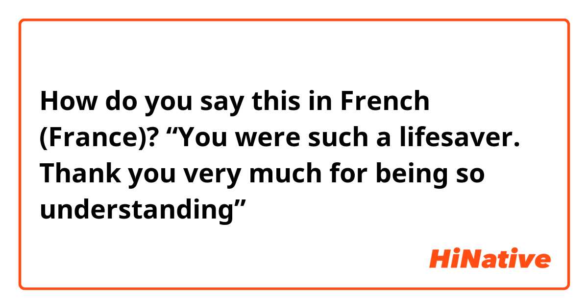 How do you say this in French (France)? “You were such a lifesaver. Thank you very much for being so understanding” 