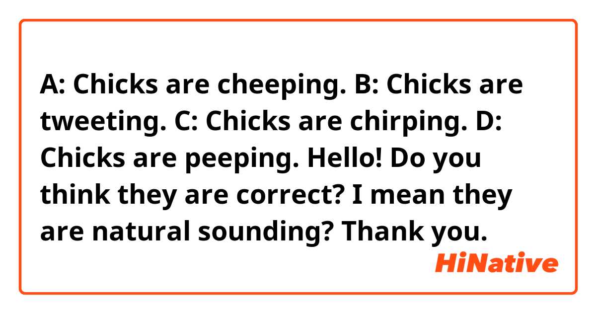 A: Chicks are cheeping.
B: Chicks are tweeting.
C: Chicks are chirping.
D: Chicks are peeping.

Hello! Do you think they are correct? I mean they are natural sounding? Thank you.