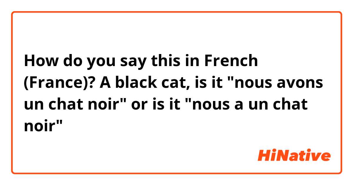 How do you say this in French (France)? A black cat, is it "nous avons un chat noir" or is it "nous a un chat noir" 
