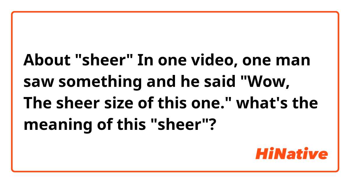 About "sheer"
In one video, one man saw something and he said  "Wow, The sheer size of this one."
what's the meaning of this "sheer"?