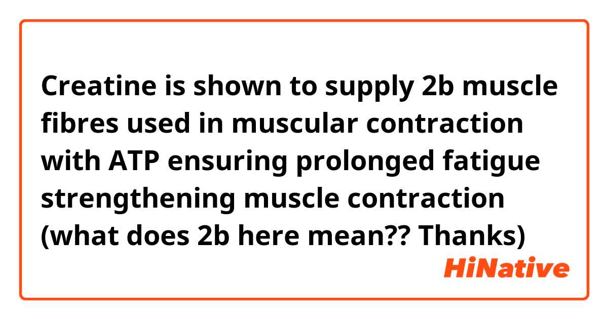 Creatine is shown to supply 2b muscle fibres used in muscular contraction with ATP ensuring prolonged fatigue strengthening muscle contraction (what does 2b here mean?? Thanks)