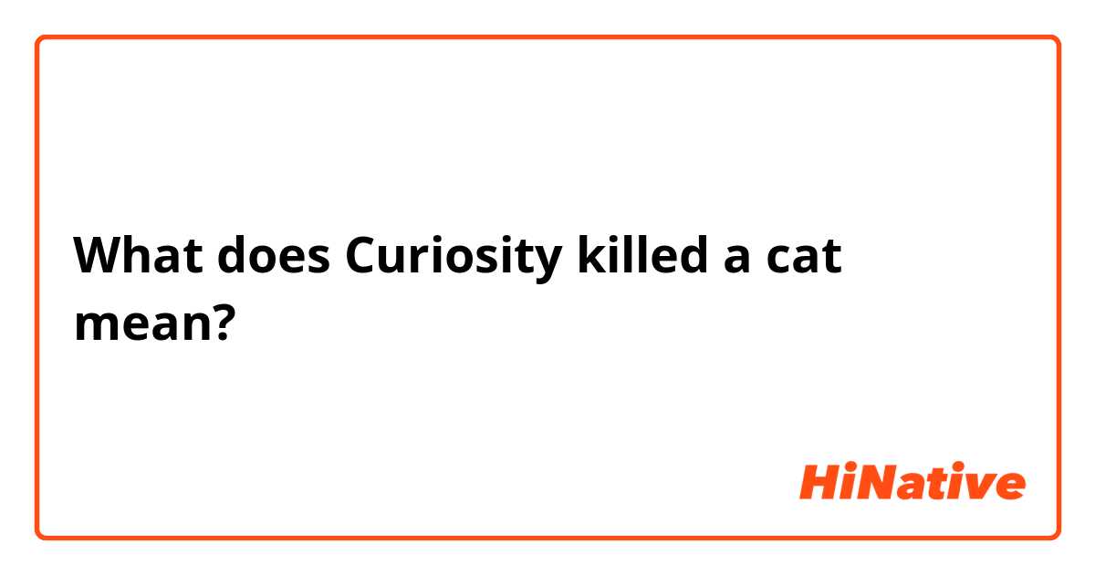 What does Curiosity killed a cat mean?