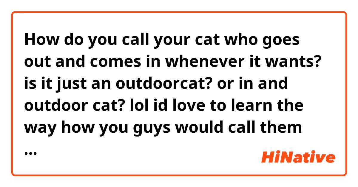 How do you call your cat who goes out and comes in whenever it wants? is it just an outdoorcat? or in and outdoor cat? lol😄 id love to learn the way how you guys would call them and other names for cats in other situations. 