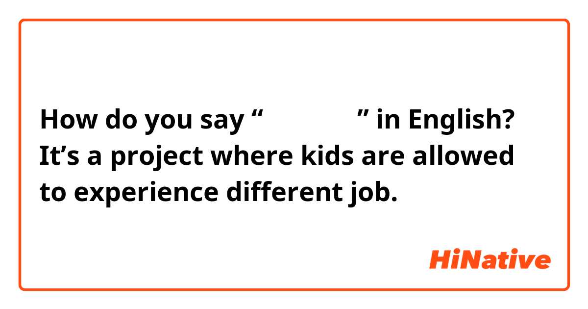 How do you say “职业体验计划” in English? It’s a project where kids are allowed to experience different job.