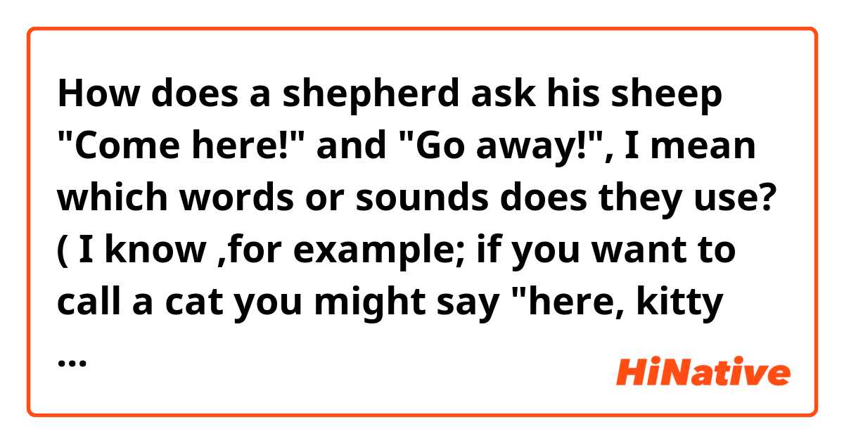 How does a shepherd ask his sheep
"Come here!" and "Go away!", I mean which words or sounds does they use? 
( I know ,for example; if you want to call a cat you might say "here, kitty kitty!", or "tsk-tsk!" or "tut-tut!"; and if you want to drive away a chicken you might say "shoo shoo!")

In Persian , a shepherd says "Herrrr!" for 'Come here!" and "Berrr!" for 'Go, or Go away!" :) 