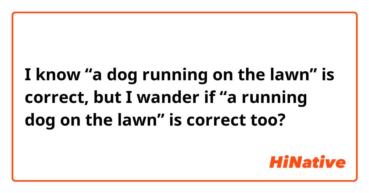 I know “a dog running on the lawn” is correct, but I wander if “a running dog on the lawn” is correct too? 