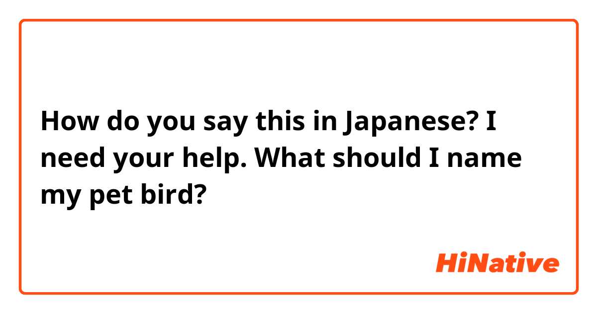 How do you say this in Japanese? I need your help. What should I name my pet bird? 