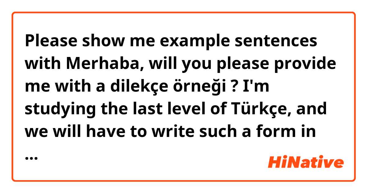 Please show me example sentences with Merhaba, will you please provide me with a dilekçe örneği ? I'm studying the last level of Türkçe, and we will have to write such a form in the exam. .