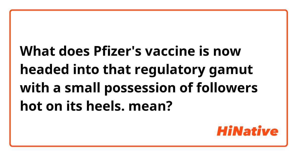 What does Pfizer's vaccine is now headed into that regulatory gamut with a small possession of followers hot on its heels. mean?