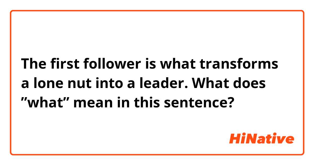 The first follower is what transforms a lone nut into a leader. 

What does ”what” mean in this sentence?