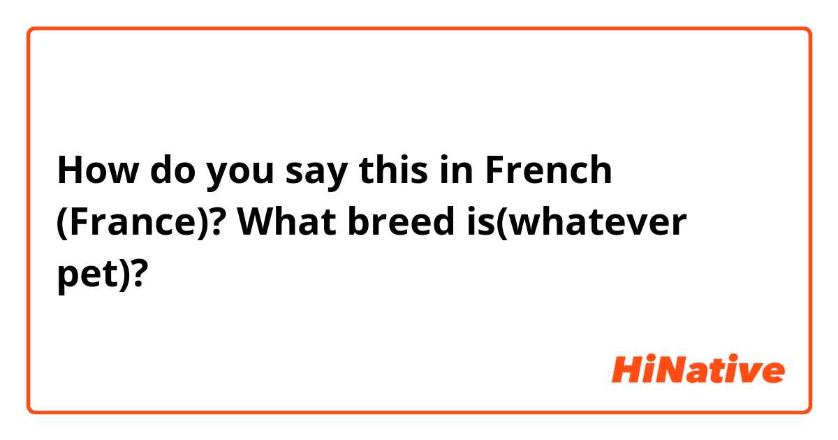 How do you say this in French (France)? What breed is(whatever pet)?