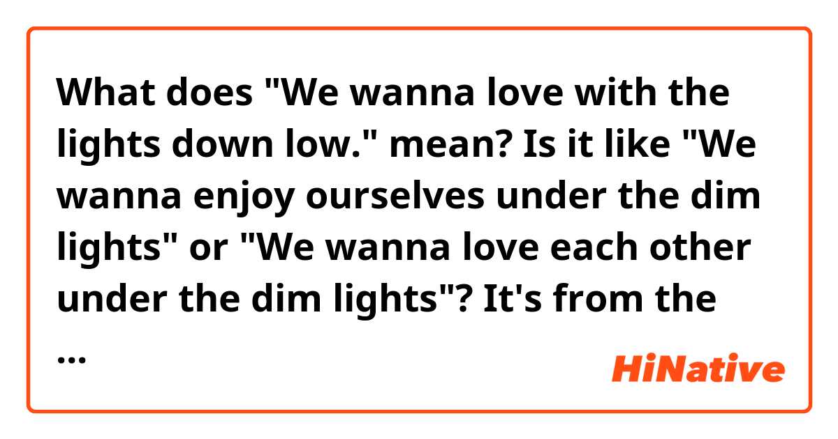 What does "We wanna love with the lights down low." mean?

Is it like "We wanna enjoy ourselves under the dim lights" or "We wanna love each other under the dim lights"?

It's from the song named "We wanna" of Inna, Alexandra Stan, and Daddy Yankee.