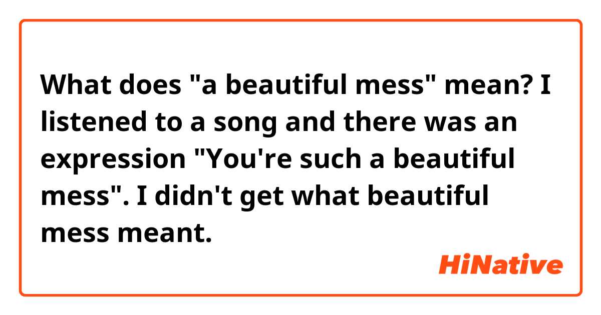 What does "a beautiful mess" mean? I listened to a song and there was an expression "You're such a beautiful mess". I didn't get what beautiful mess meant.
