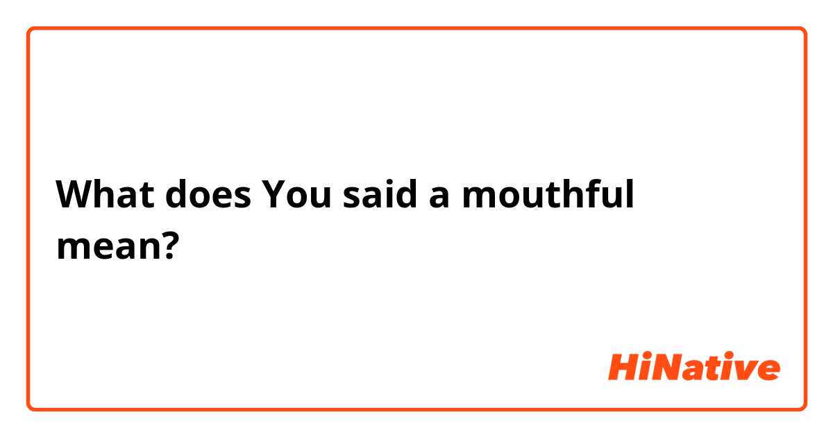 What does You said a mouthful  mean?