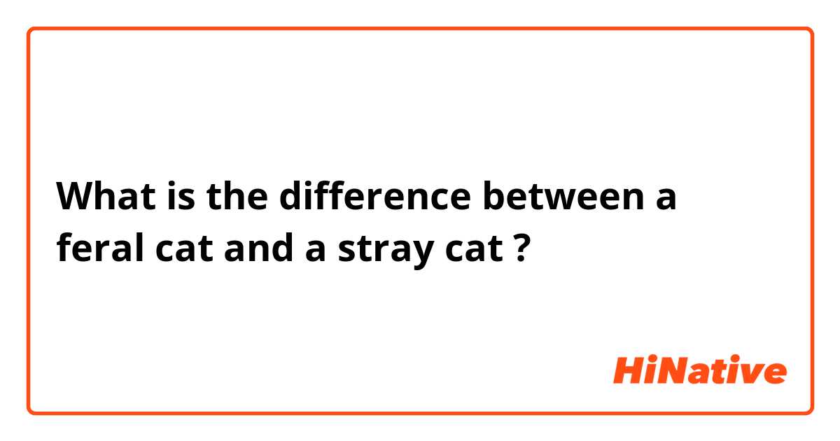 What is the difference between a feral cat and a stray cat ?