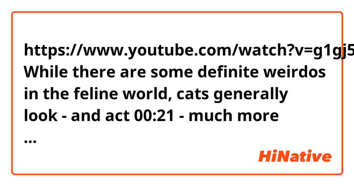 https://www.youtube.com/watch?v=g1gj5yn5IyU

While there are some definite weirdos in the feline world, cats generally look - and act
00:21
- much more similar to each other than dogs.
00:24
So yeah, doggos are way more diverse than cattos...[[except they also aren’t]].
00:29
Because under all those superficial differences - what scientists call “phenotypic diversity”
00:35
- domestic dogs are surprisingly un-diverse in the DNA department.

1. what does mean by '[[except they also aren’t]].'?
2. What is DNA department?