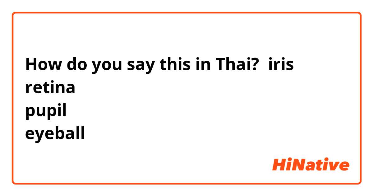 How do you say this in Thai? iris
retina
pupil
eyeball
